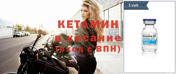 хмурый Аркадак