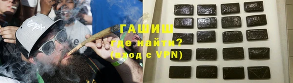 хмурый Аркадак
