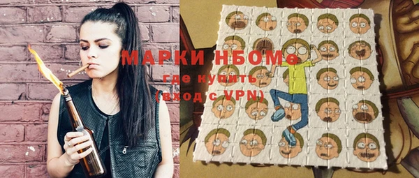 хмурый Аркадак