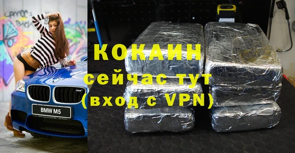 хмурый Аркадак