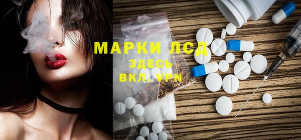 хмурый Аркадак