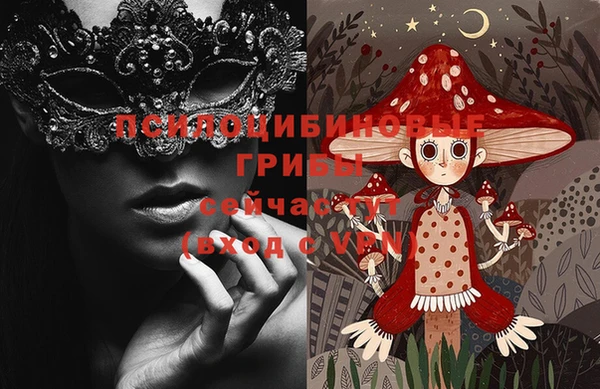 PSILOCYBIN Арсеньев