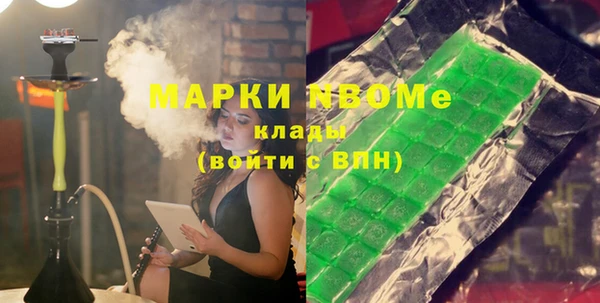 хмурый Аркадак