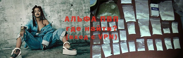 хмурый Аркадак