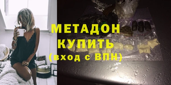 хмурый Аркадак