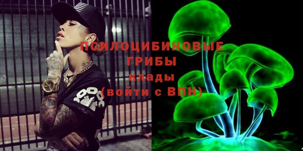PSILOCYBIN Арсеньев