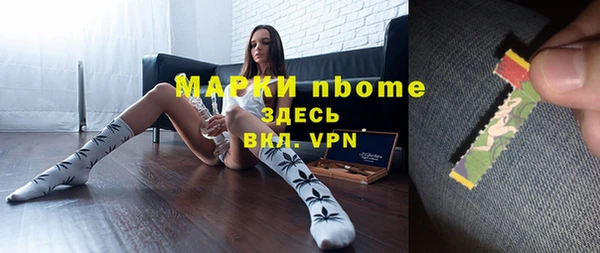 хмурый Аркадак