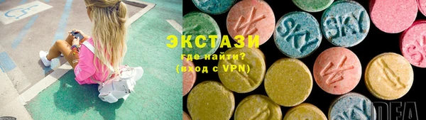 хмурый Аркадак